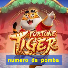 numero da pomba jogo do bicho